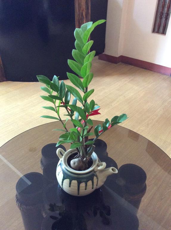 מלון Davao City Bahay Ni Tuding - House Of Tuding מראה חיצוני תמונה